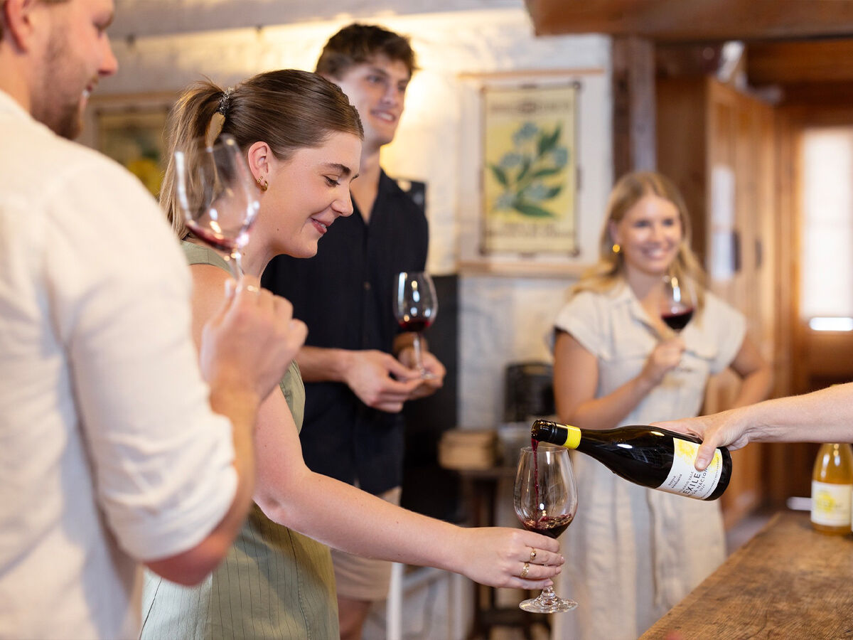 Battle of Bosworth and Spring Seeds Wines Battle of Bosworth and Spring Seeds Wines