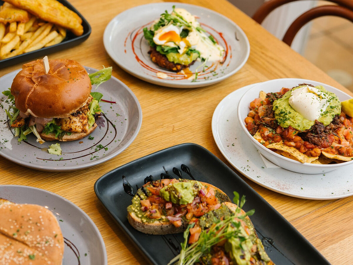 Bracegirdles Bracegirdles