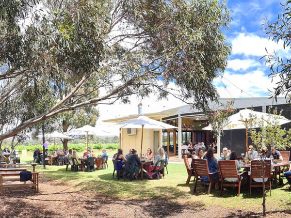 Ekhidna Kitchen and Wines