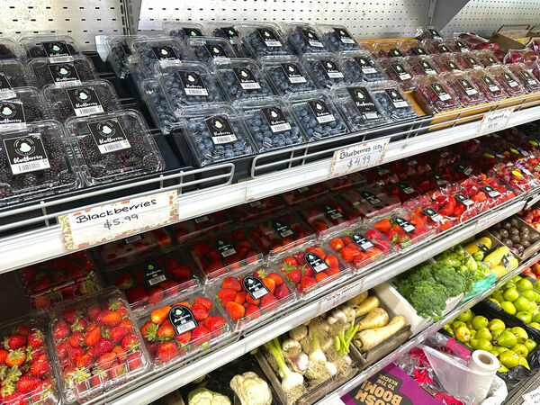 Harvest The Fleurier  Strawberry picking