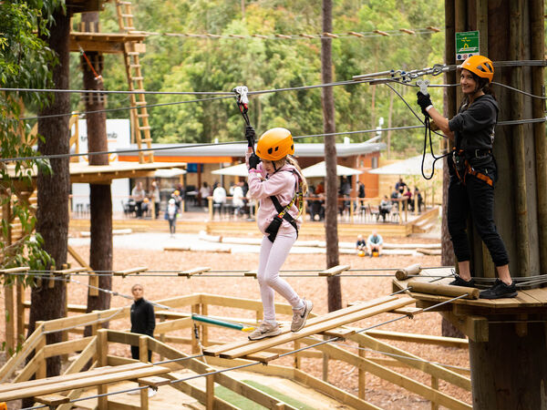 TreeClimb Kuitpo Forest 