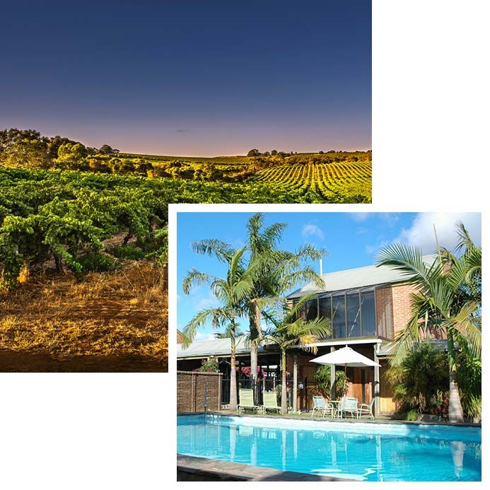 Welcome to McLaren Vale Motel + Apartments